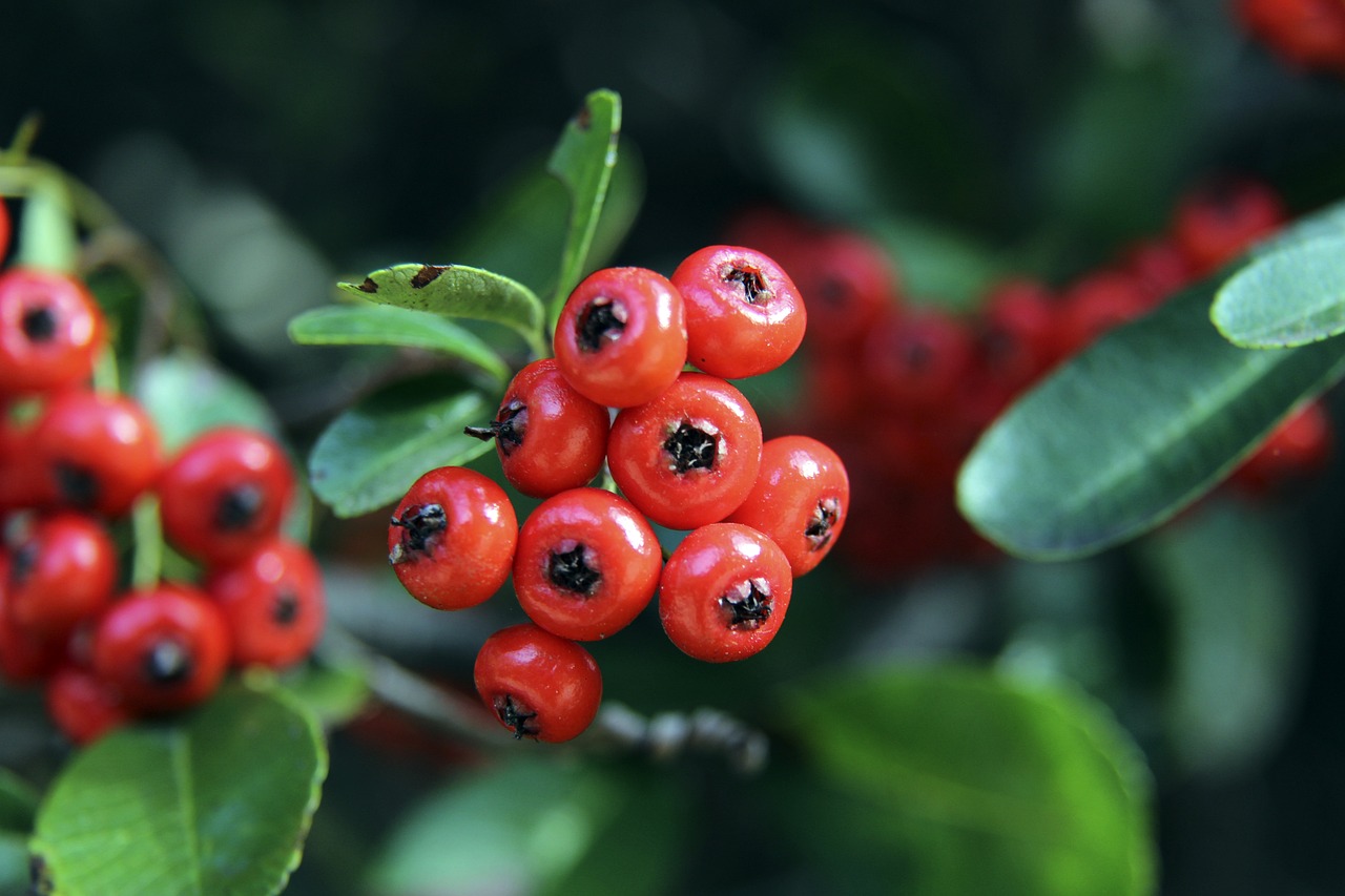 羽球｜吴柳莹分享心得 “不是遇到危机就拆伙”.