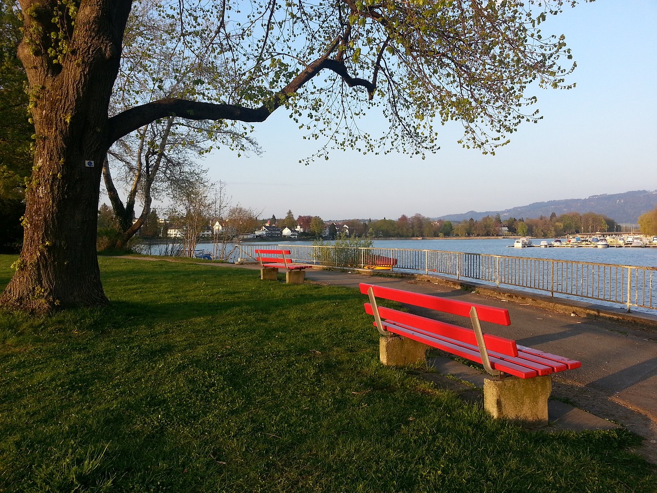 苏亚雷斯正 苏亚雷斯正